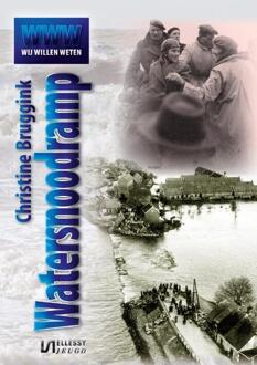 Clustereffect De watersnoodramp - Boek Christine Bruggink (9086601278)