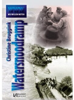 Clustereffect De watersnoodramp - Boek Christine Bruggink (9086601278)
