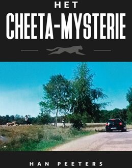 Clustereffect Het Cheeta-mysterie