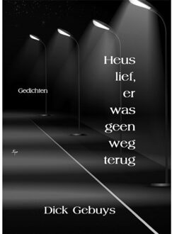 Clustereffect Heus Lief, Er Was Geen Weg Terug - Dick Gebuys