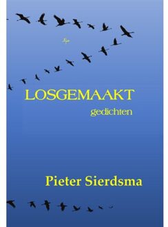 Clustereffect Losgemaakt - Pieter Sierdsma