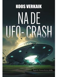 Clustereffect Na De Ufo-Crash - Koos Verkaik