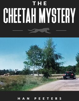 Clustereffect The Cheetah mystery