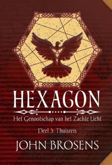 Clustereffect Thuisreis - Hexagon - Het Genootschap Van Het Zachte Licht - John Brosens