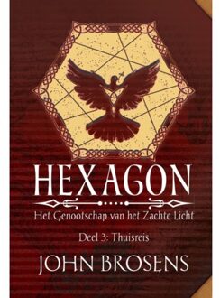 Clustereffect Thuisreis - Hexagon - Het Genootschap Van Het Zachte Licht - John Brosens