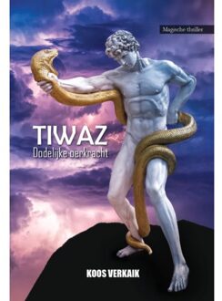 Clustereffect Tiwaz - Koos Verkaik