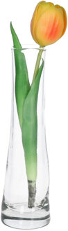 CM Bloemenvaas smal model - flute vaas - 20 x 6 cm - transparant - voor losse bloem