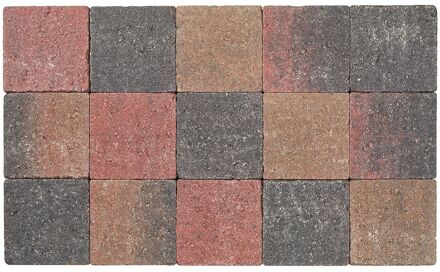 Cobo Buitentegel Garden - Bruin-rood-zwart - Getrommeld - 15x15 Cm