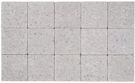 Cobo Buitentegel Garden - Grijs - Getrommeld - 15x15 Cm