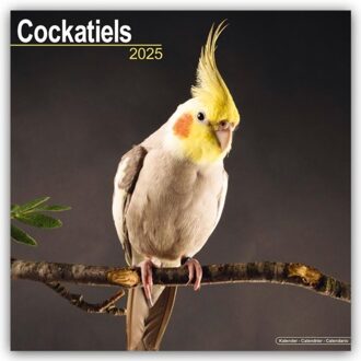 Cockatiels Calendar 2025 Square Bird Wall Calendar - 16 Month - Browntrout Wandkalender - Avonside Publishing Ltd