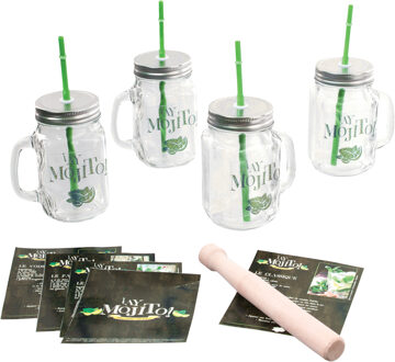 Cocktails/mojito glazen set - 4x stuks - met accessoires - transparant - 500 ML