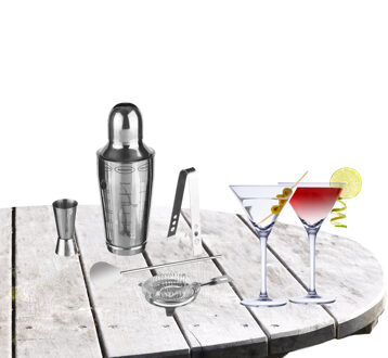 Cocktailshaker set RVS 5-delig inclusief 4x cocktail/martini glazen 220 ml - Cocktailshakers Zilverkleurig