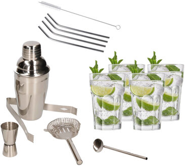 Cocktailshaker set RVS 5-delig inclusief 4x cocktailglazen 410 ml met 4x RVS rietjes - Cocktailshakers Zilverkleurig