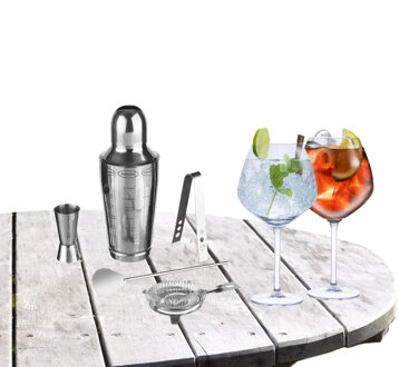 Cocktailshaker set RVS 5-delig inclusief 4x Gin Tonic glazen 730 ml - Cocktailshakers Zilverkleurig