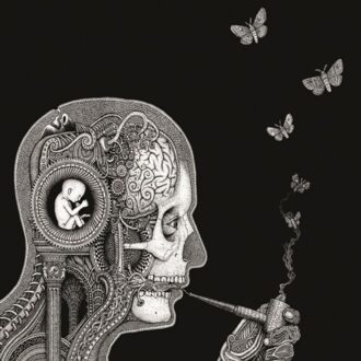Cognitive - Soen