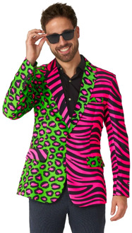 Colbert Party Animal Neon