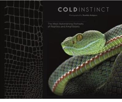 Cold Instinct