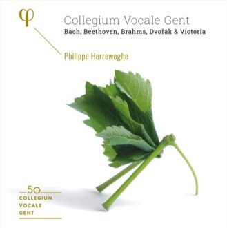 Collegium Vocale Gent - Collegium Vocale Gent: Bach, Beethoven, Brahms, Dvorák & Victoria CD