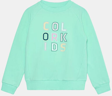 Color kids Sweat W. Logo Print Trui Junior Groen - 152