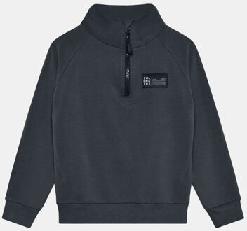 Color kids Sweat W. Zip Fleecetrui Junior Grijs - 104
