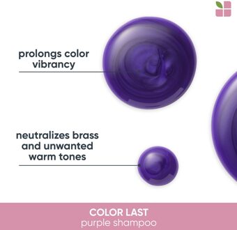 Color Last Purple Shampoo - Shampoo To Eliminate Yellow Shades