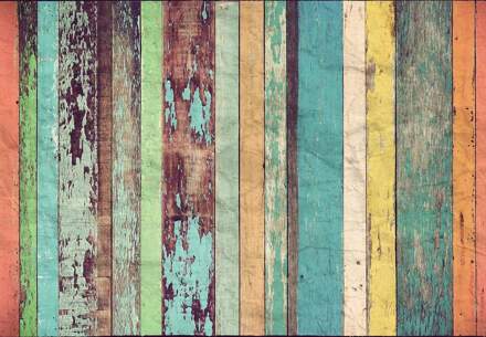Colored Wooden Wall - 366 X 254 Cm - Multi