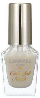 Colorful Nails Polish - Nagellak