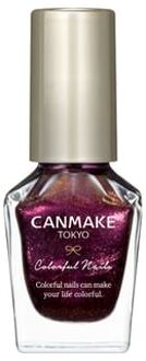 Colorful Nails Polish - Nagellak