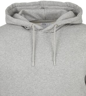 Colorful Standard Hoodie Grijs