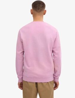 Colorful Standard Sweater Paars