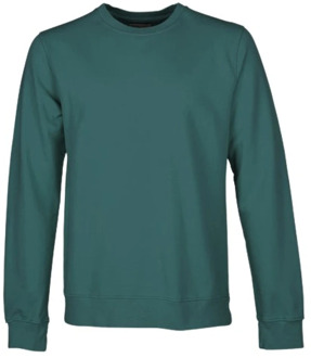 Colorful Standard Sweatshirt Colorful Standard , Green , Heren - L,S
