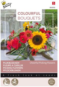 Colourful Bouquets, Cheerful Picking Flowers
