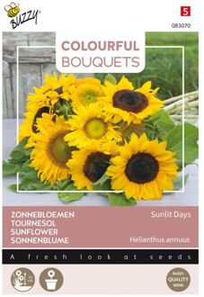 Colourful Bouquets, Sunlit Days (Zonnebloemen halfhoog)
