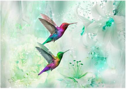 Colourful Hummingbirds Green Vlies Fotobehang 100x70cm