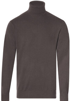 Coltrui Bruin - L