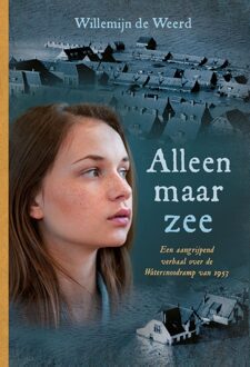 Columbus Alleen maar zee - Willemijn de Weerd - ebook