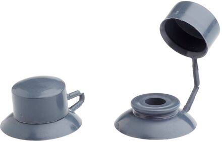 Combidop Voor Golfplaat - Grijs - 25 St