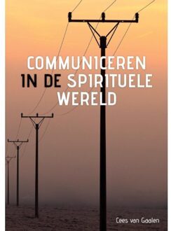 Communiceren in de spirituele wereld
