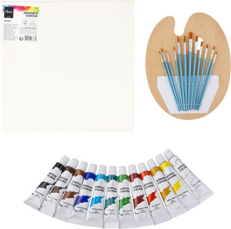 Complete hobby schilderij maken verf set - met canvas schildersdoek van 30 x 30 cm - penselen - verf