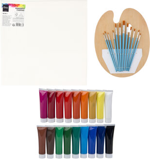 Complete hobby schilderij maken verf set - met canvas schildersdoek van 30 x 30 cm - penselen - verf