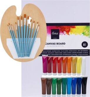 Complete hobby schilderij maken verf set - met canvas schildersdoek van 40 x 30 cm - penselen - verf