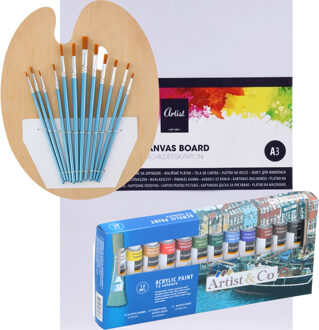 Complete hobby schilderij maken verf set - met canvas schildersdoek van 40 x 30 cm - penselen - verf