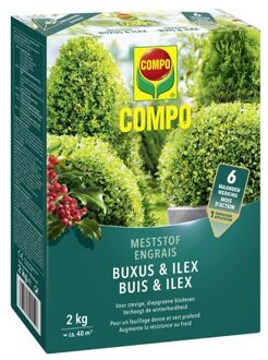 Compo Buxus meststof - 6 maanden