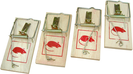 CON-P Muizenval Hout (4St) - B46505