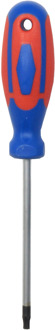 CON-P Schroevendraaier Tx20 2C - CPT312920