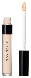 Concealer 01 Light Ocher 1 pc
