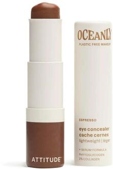 Concealer Oceanly Light Coverage Concealer Espresso 5,7 g