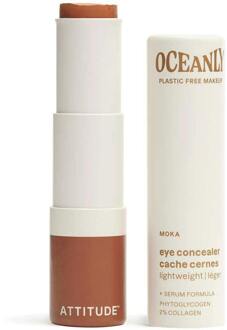 Concealer Oceanly Light Coverage Concealer Moka 5,7 g