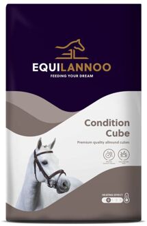 Condition Cube - Basisvoeding - 20 kg - Zak