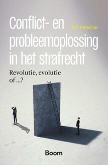 Conflict- en probleemoplossing in het strafrecht -  M.J. Dubelaar (ISBN: 9789462129719)